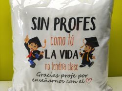 Cojín profes